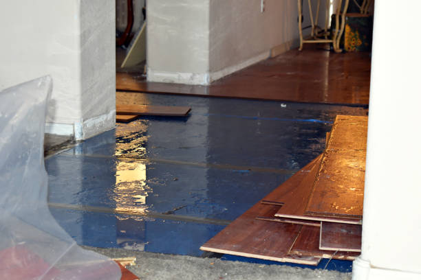 Professional Sewage Cleanup technician working in Victor, WV